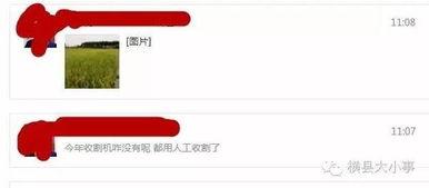 最新爆料图片怎么做,图片背后的惊人真相！